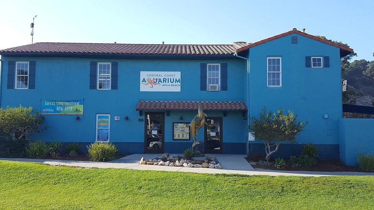 Central Coast Aquarium - Image 1