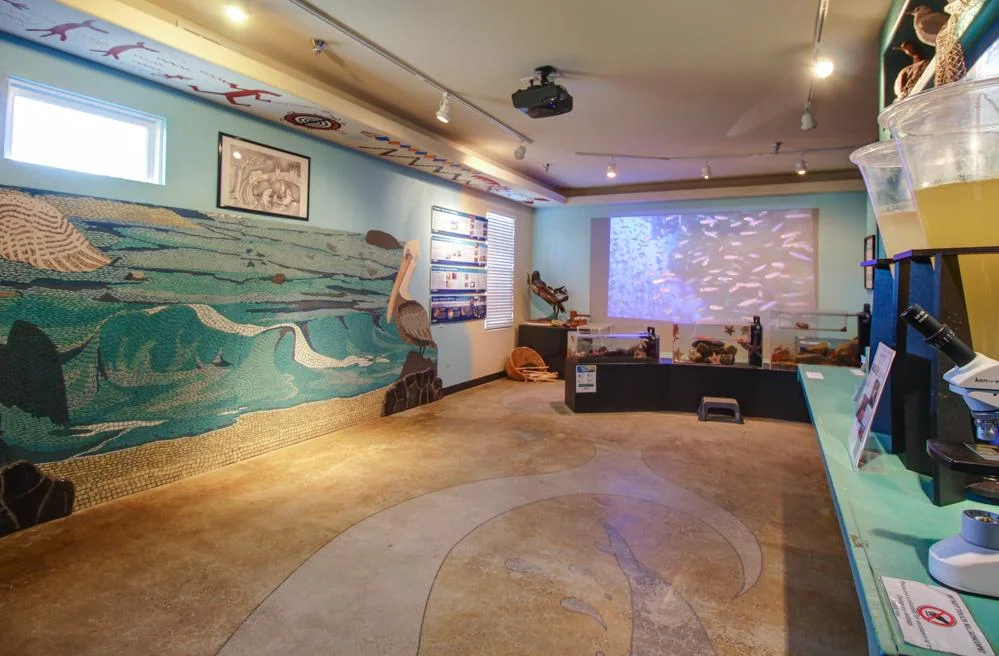 Central Coast Aquarium - Image 3