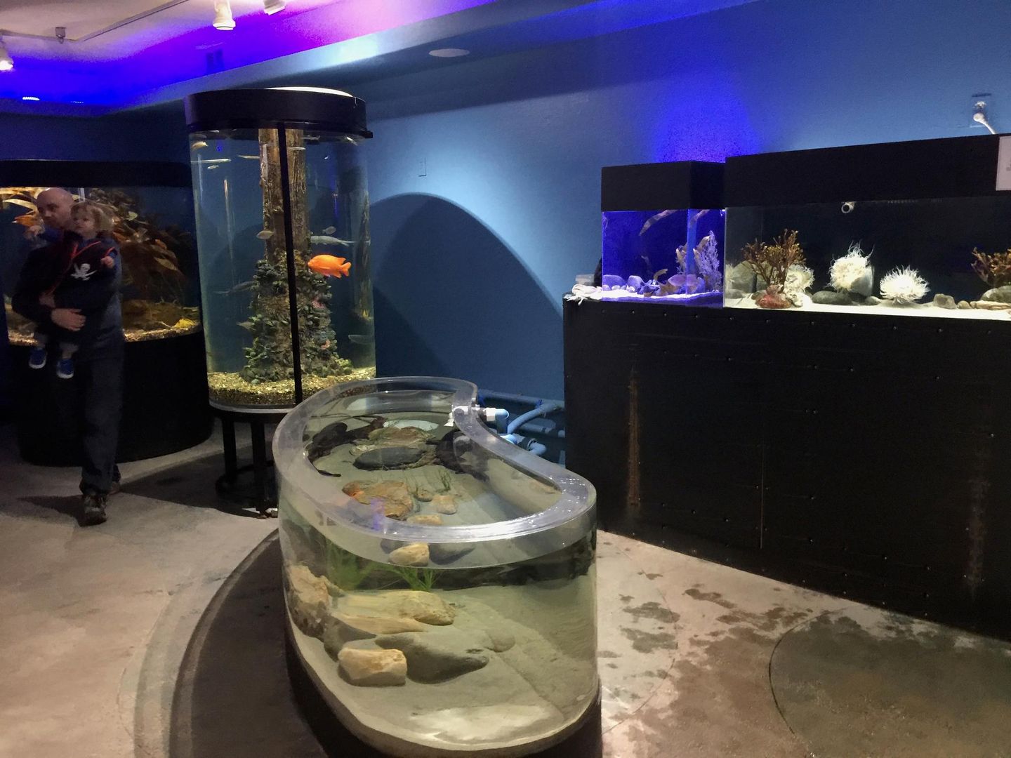 Central Coast Aquarium - Image 2