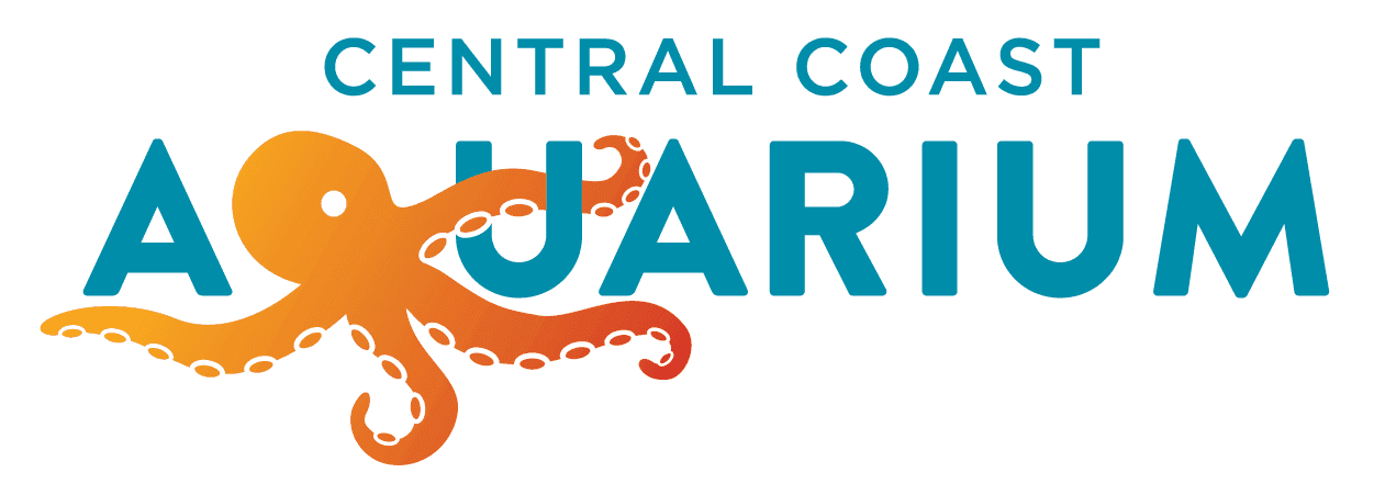 Central Coast Aquarium